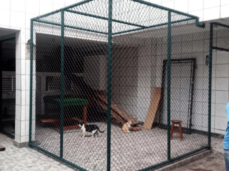 comercialrosalles.canil-gatil-viveiro2