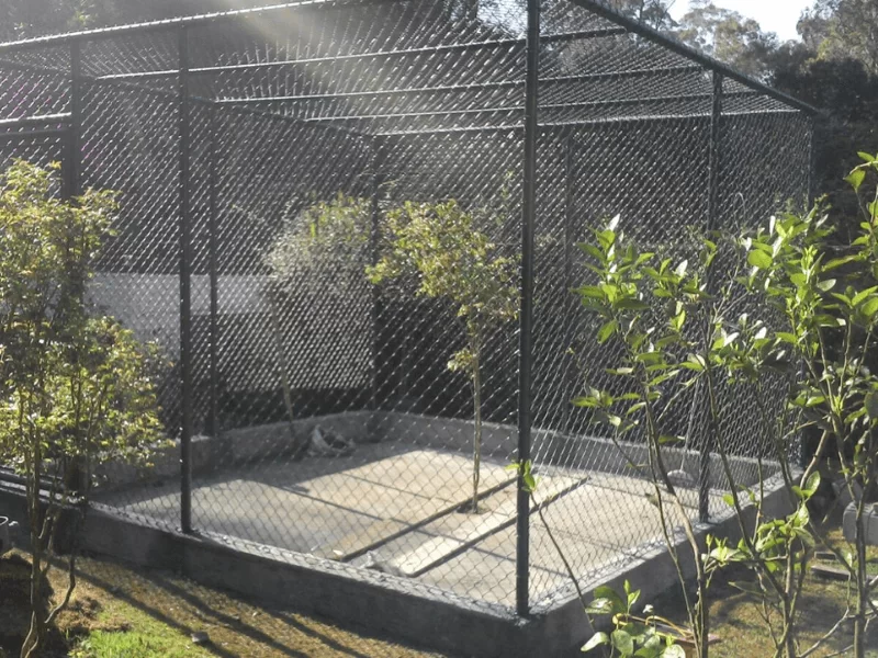 comercialrosalles.canil-gatil-viveiro8