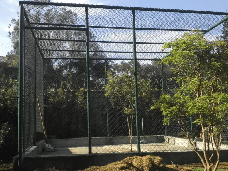 comercialrosalles.canil-gatil-viveiro9